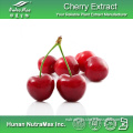 High Quality Acerola Cherry Extract (5%~25% VC)